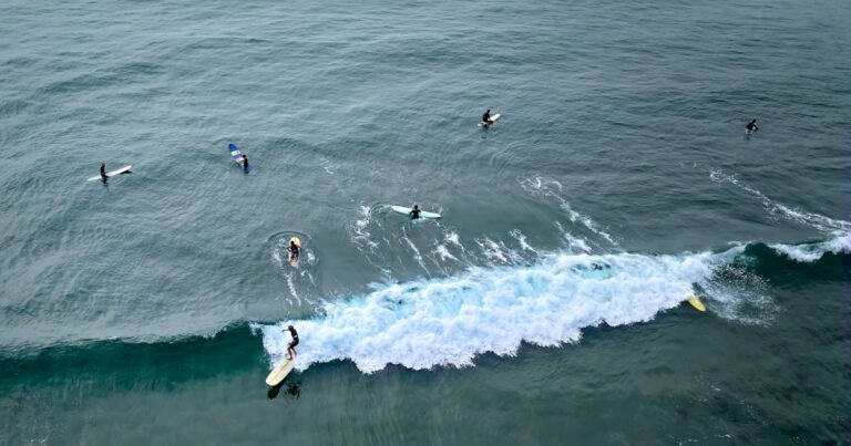 Featured image for 10 Epic Surf Brand Collaborations with Artists You Must Know 2026